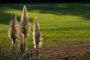 Hotel Golf La Pinetina